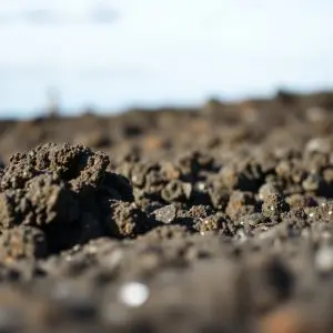 En desarrollo: Lanzarote, Base de la élite Oceánica