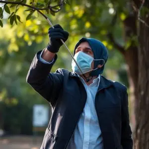 Herido al esquivar un corzo y chocar con un árbol en Bravos