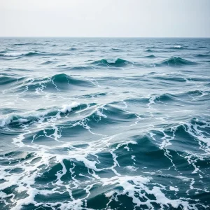 La marea de la justicia: reflexiones sobre la seguridad en el mar tras la traged