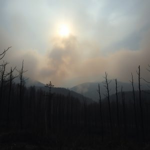 Así se compara el despliegue de la UME en el incendio de Teruel con las intervenciones en los grandes fuegos de Galicia