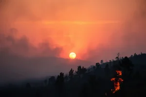 El fuego arrasa diez hectáreas en Ourol y amenaza viviendas y ganado