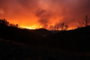 Un frente de llamas en la Ribeira Sacra: 20 hectáreas calcinadas en Taboada
