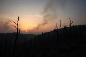 Estabilizado un incendio en Monfero que cruzó a Guitiriz y arrasó 30 hectáreas