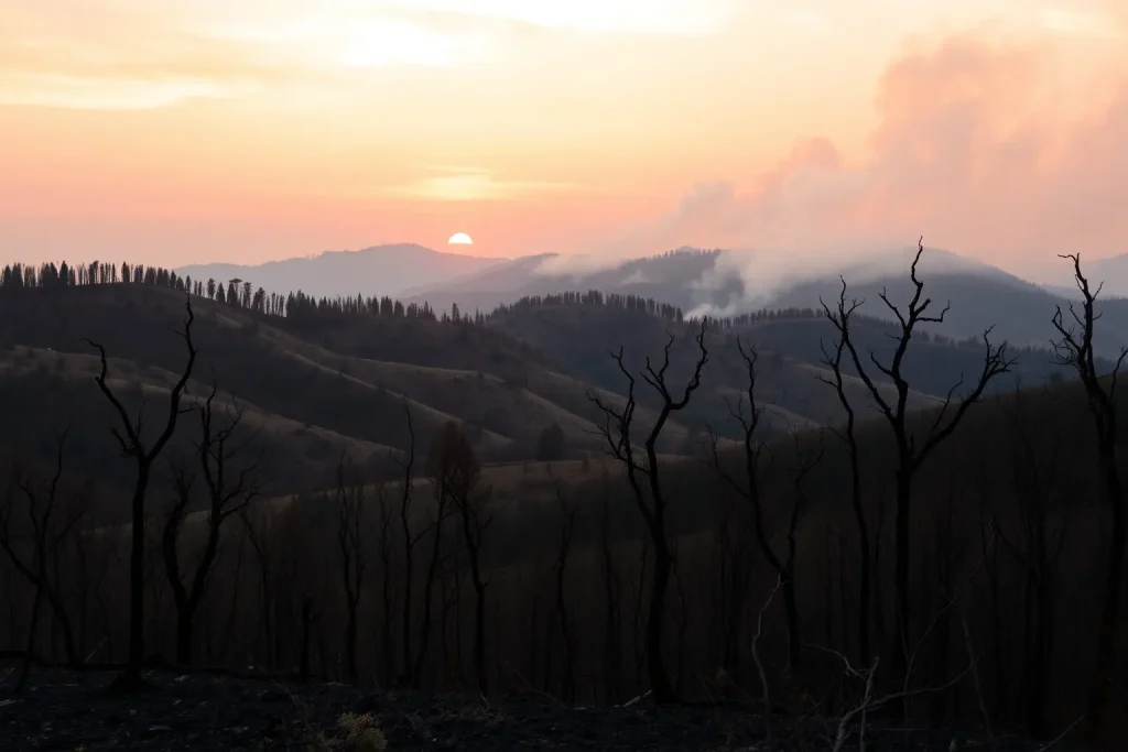 Doble reto para los extintores en Allariz: un fuego forestal en un paraje inacce