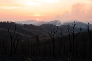 Doble reto para los extintores en Allariz: un fuego forestal en un paraje inacce